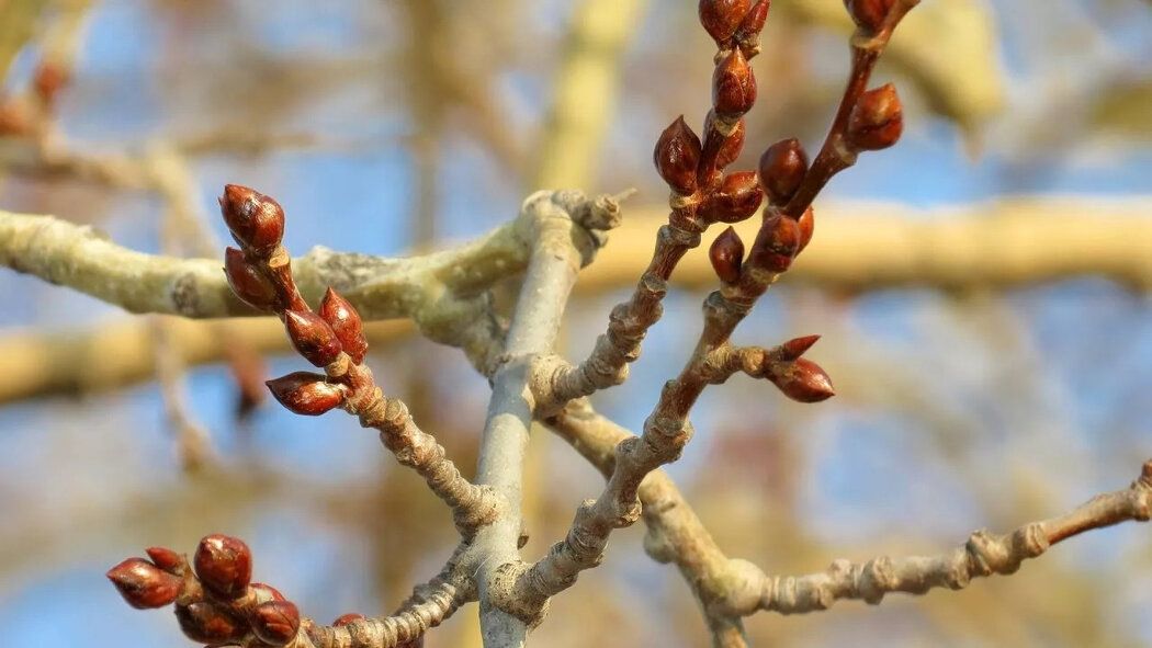 �����: ���� � ����������� � ��������