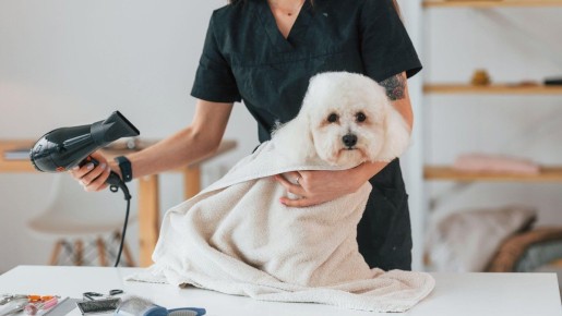 ��� ������ ����� ������ ���������� ����� ����