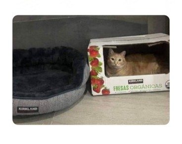 ���������� �����, ������� ������ ������