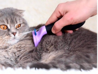 ��� ���������� ��������� ��������� � ����������