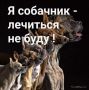 ��� �������� �����-���������: ����� ������� ��� �������