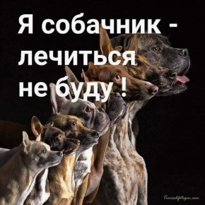 ��� �������� �����-���������: ����� ������� ��� �������