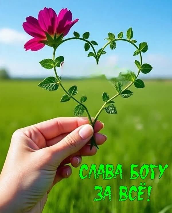 Нехватка любви как социальная проблема