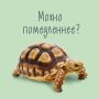 Принятие медлительности: как высокочувствительным людям перестать себя осуждать