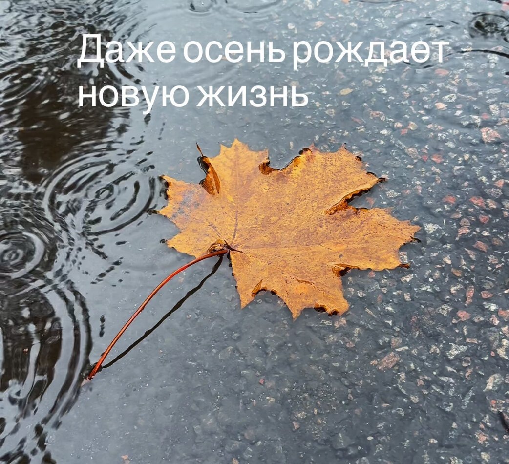 Осень как время обновления: в чем сила перемен