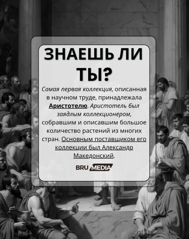 Как философия учит нас мыслить глубже в эпоху перемен