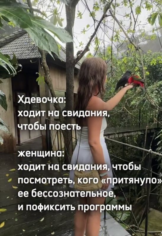 Разгадка истинной мотивации на свиданиях: девочка или женщина?